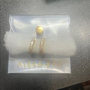 Gold Hoop CZ  Earrings by Alexa Rae